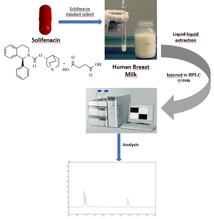 AST-2025-041_R1_P_Graphical Abstract_jpg.jpg